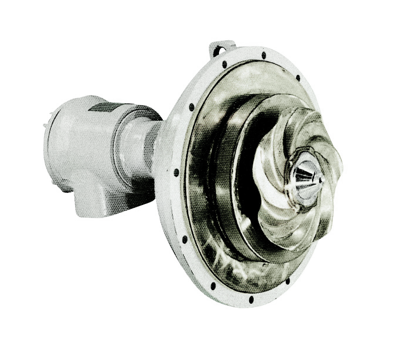 A-type Canned Motor Agitator